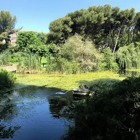 Lägenhet Marines D'aryana - Refait A Neuf 4 Couchages Proche Dans Avec Piscine Mae-8701 *